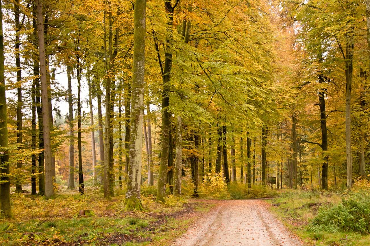 1 person backpacking tält