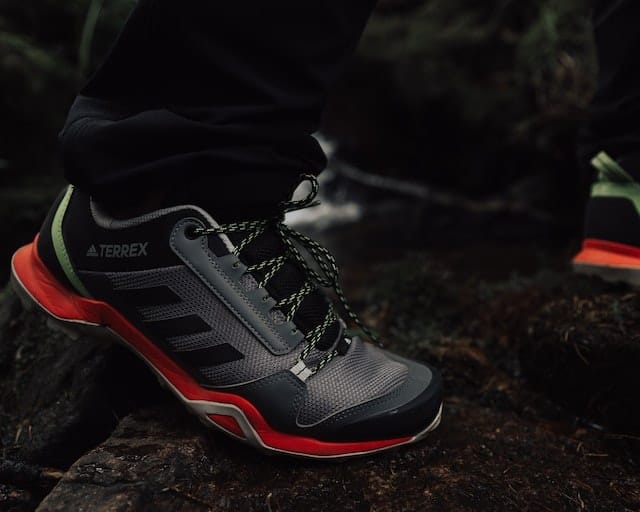 adidas hiking shoes