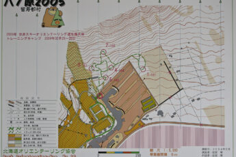 Ski World Orienteering Championships Model Map A1