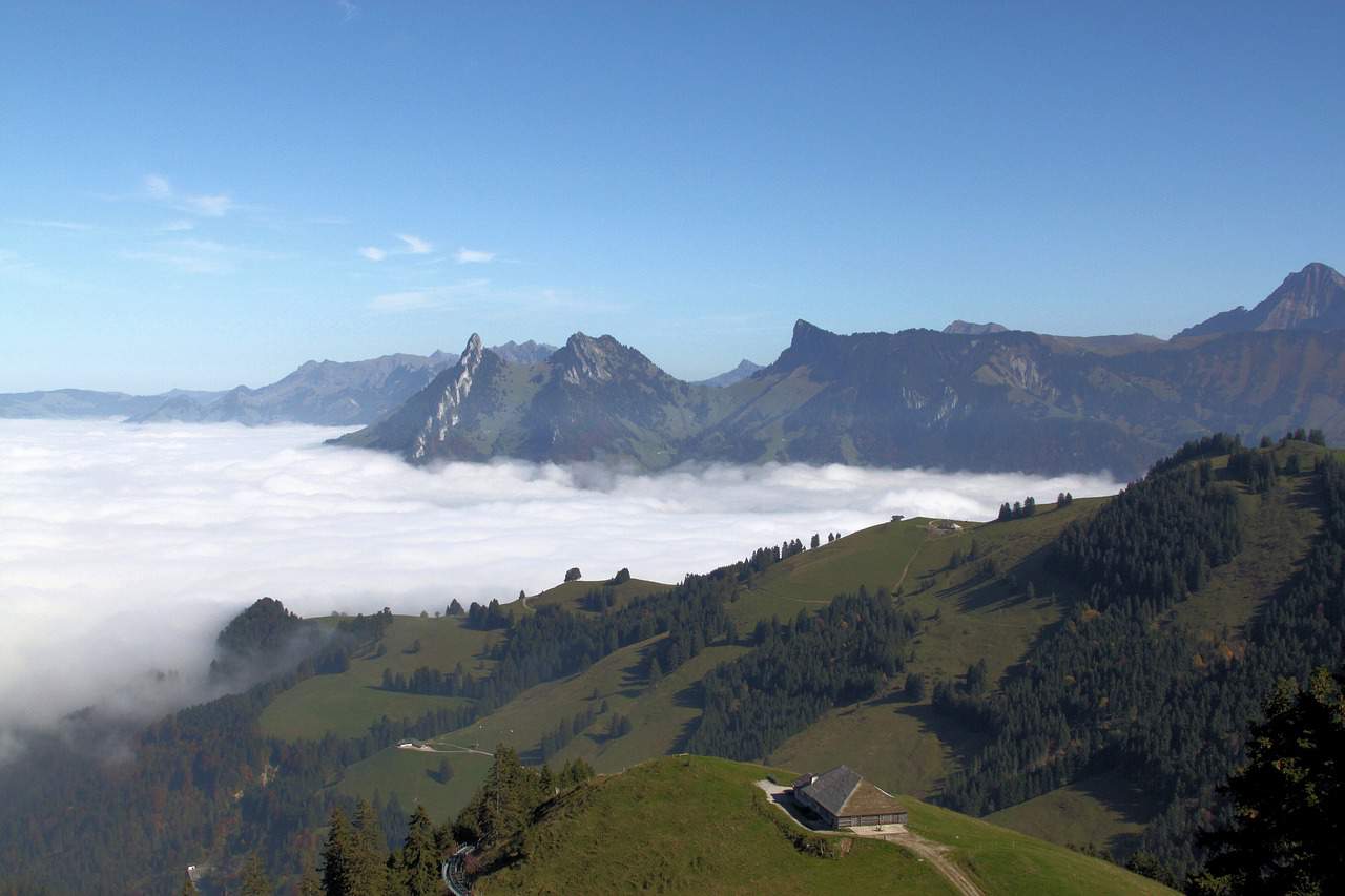 Trekkingstöcke von Black Diamond