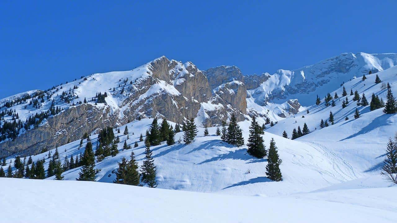 Bețe de trekking Cascade Mountain Tech