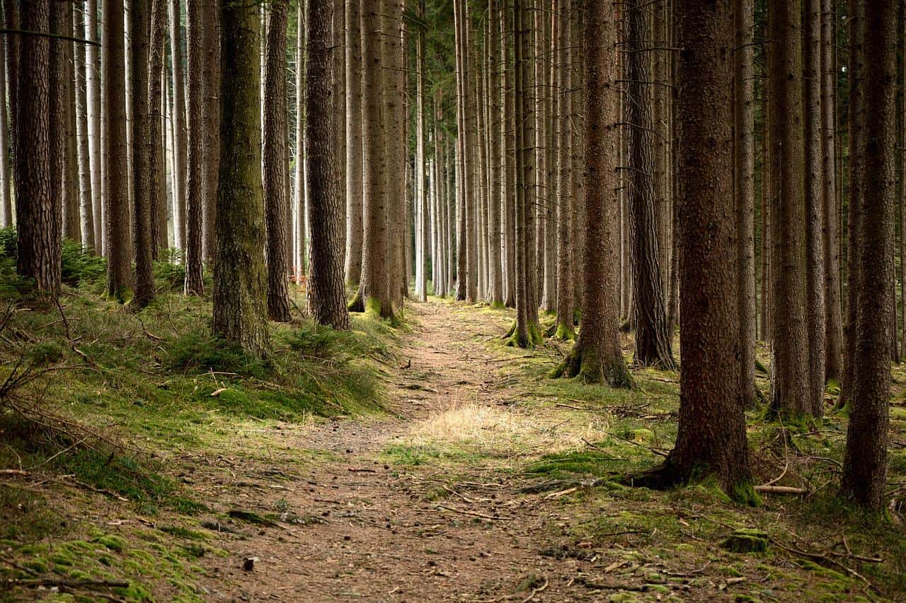 fjallraven wandelbroek