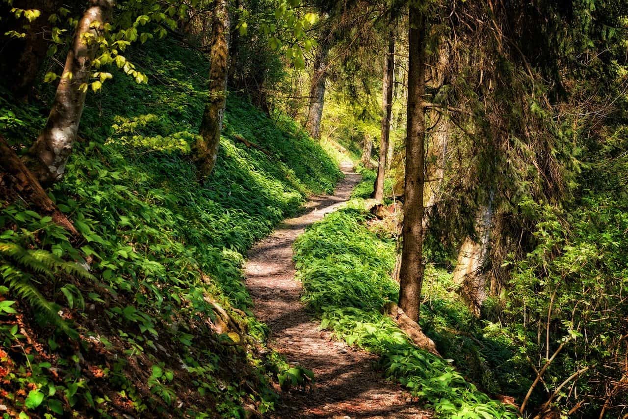 Kamerarucksack zum Wandern