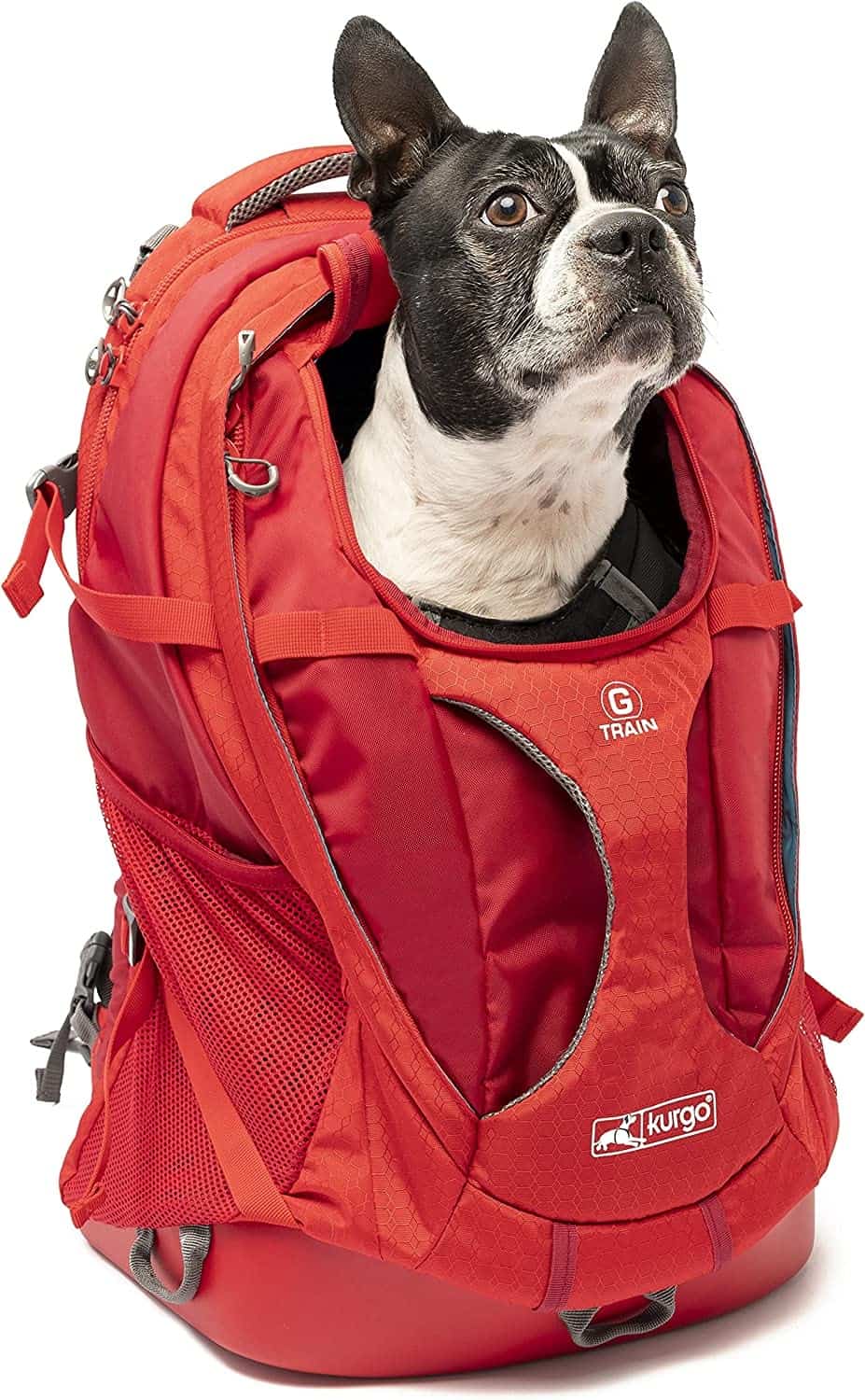 mochila de perro de senderismo