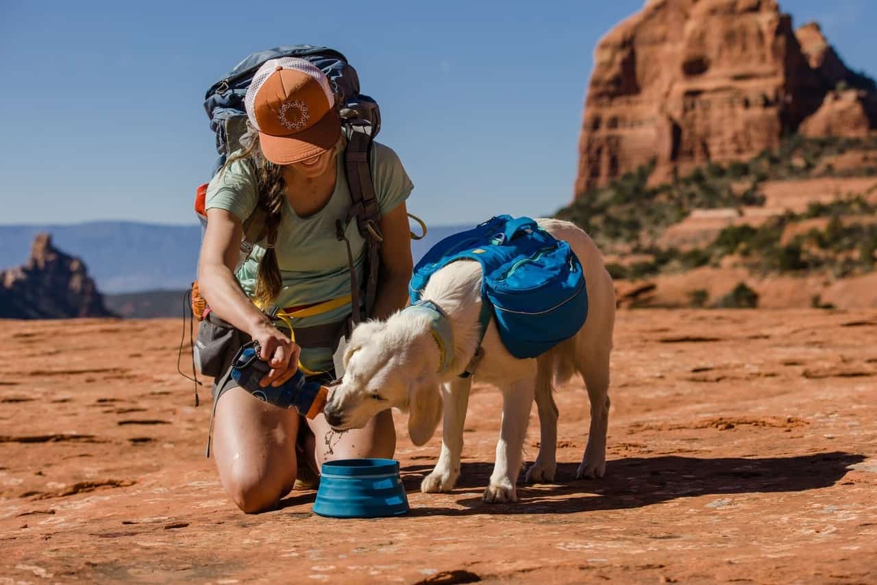 Wanderausrüstung für Hunde