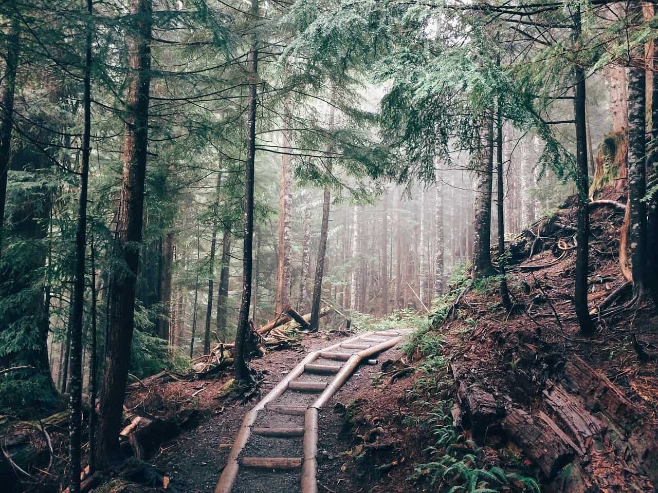 Wanderausrüstung für Frauen