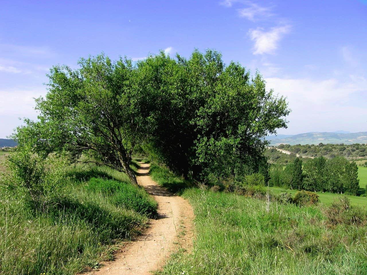 wandelmuts met nekflap