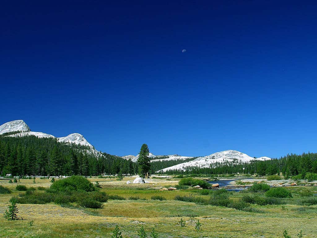 calzini da trekking