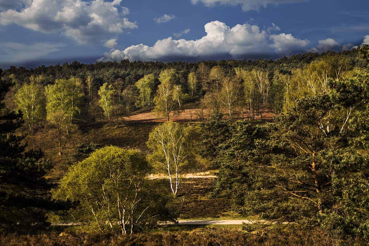 vandra berg