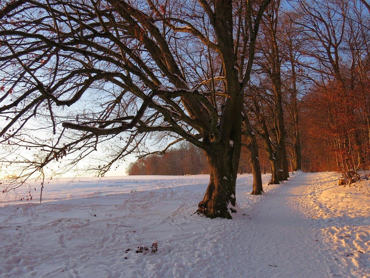 offene Zehensandalen zum Wandern