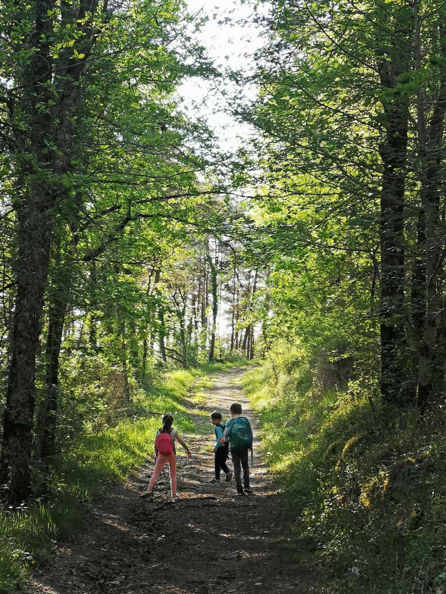 chemins de randonnée