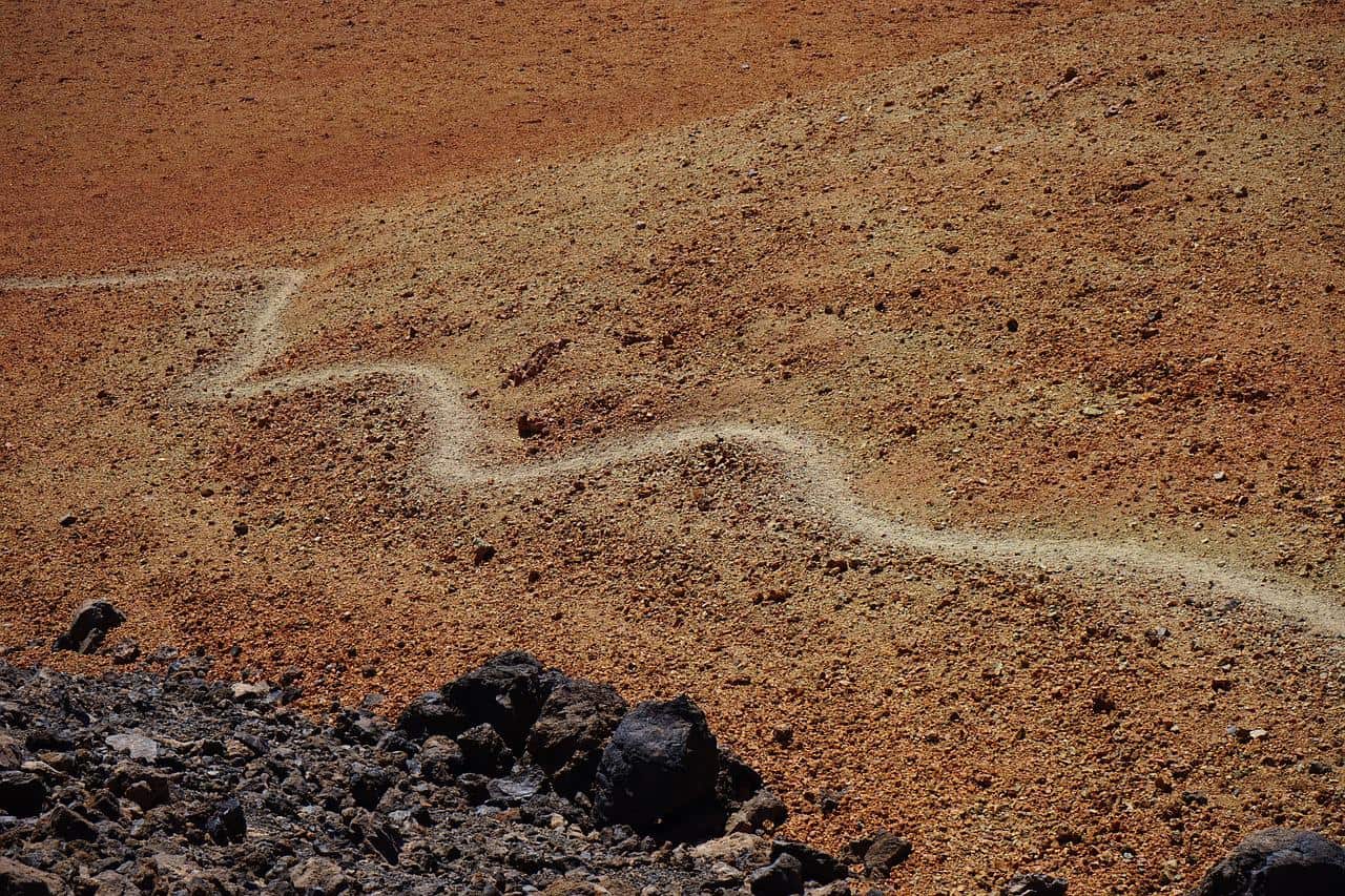 Leki Ricambio Cestelli Per Bastoncini Da Trekking – 50 Mm, Universali Per Punte In Carburo, Accessori Per Escursionismo