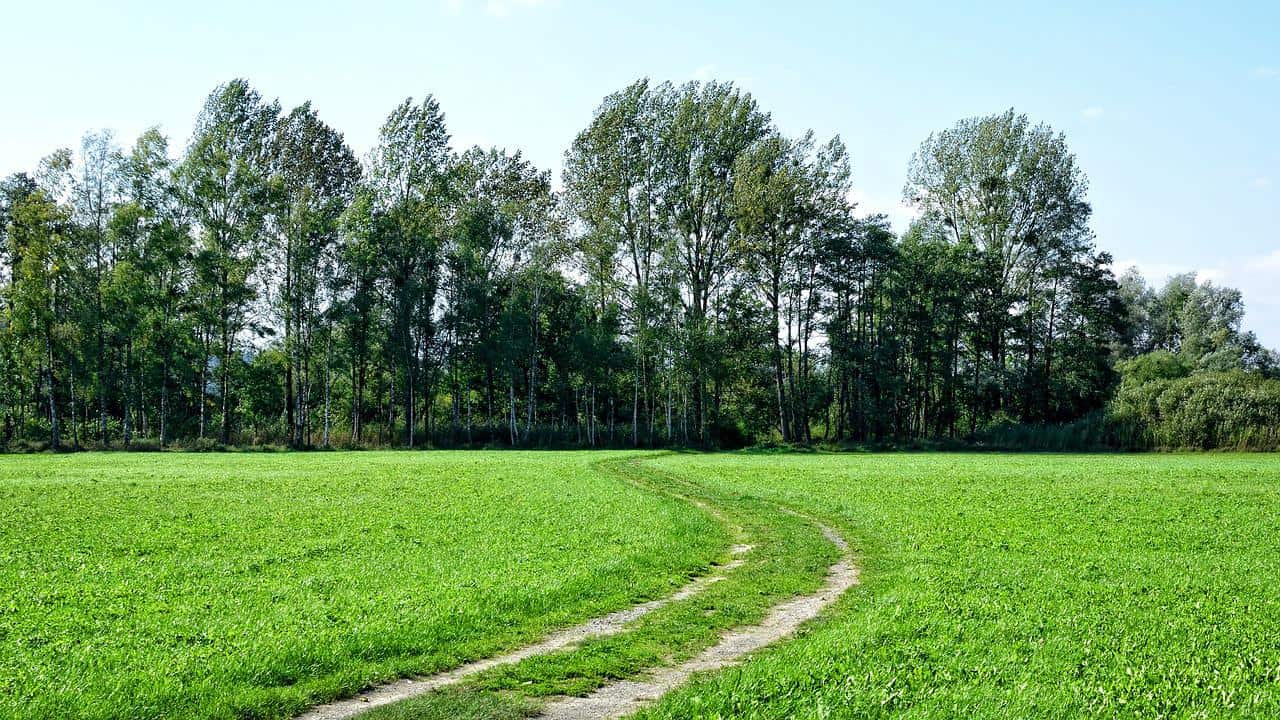 sacs de randonnée légers idéaux pour la randonnée