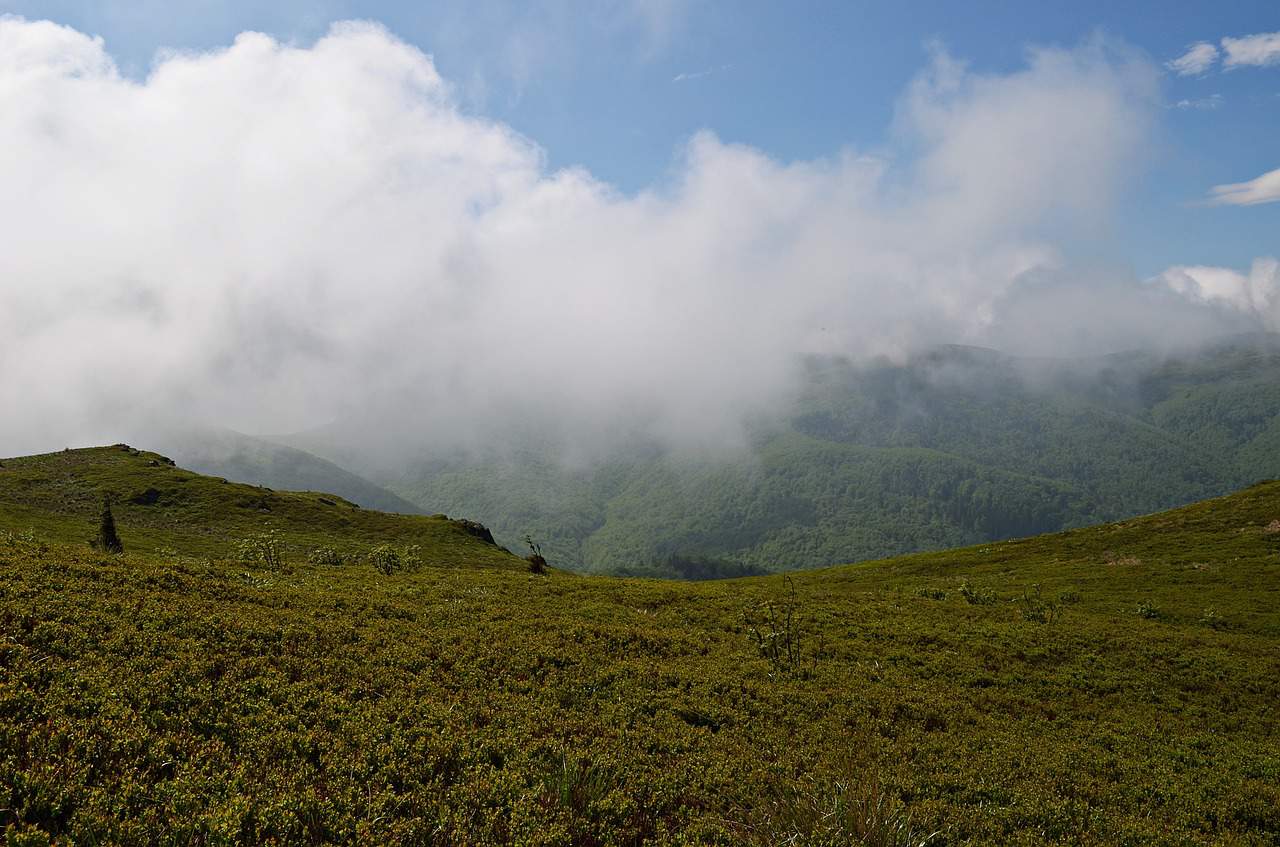 bețe de trekking montem