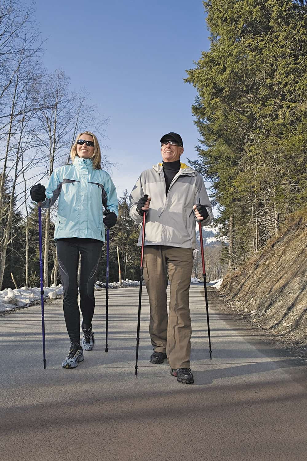 nordic walking poles