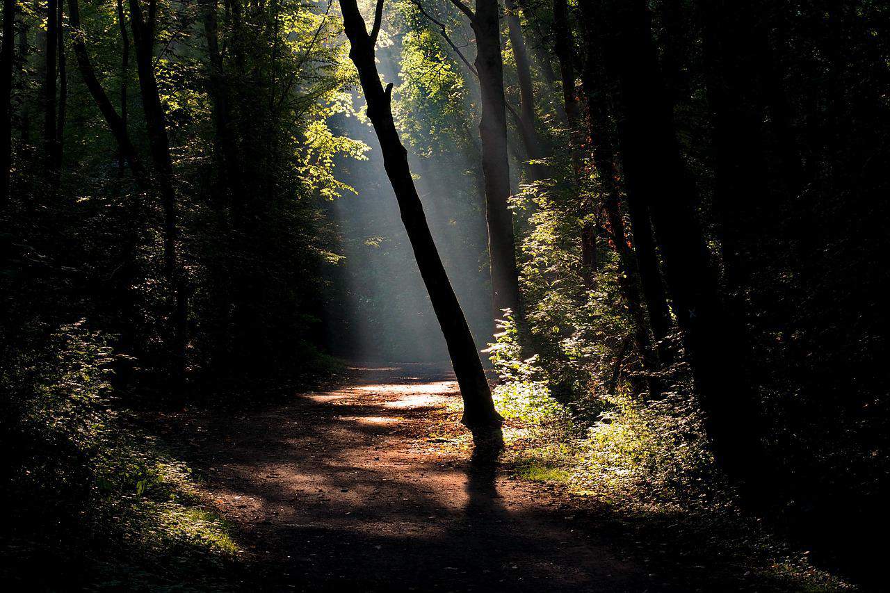 bețe de trekking pentru femei