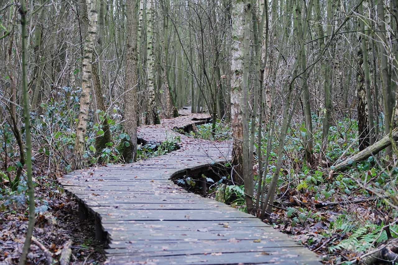 waterbestendige wandelschoenen